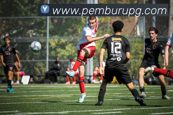 多媒体互动体验